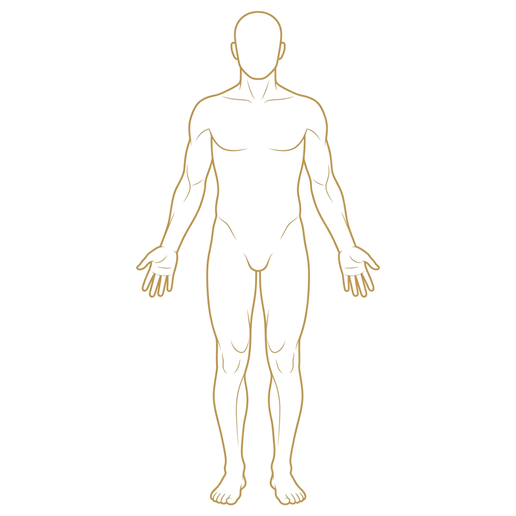 Body Map Front